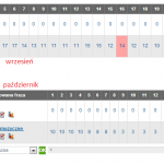 woli-koszulkimuzyczne-statystyka