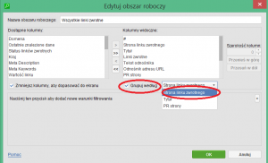 seospyglass-okienko-obszar-roboczy-grupowanie
